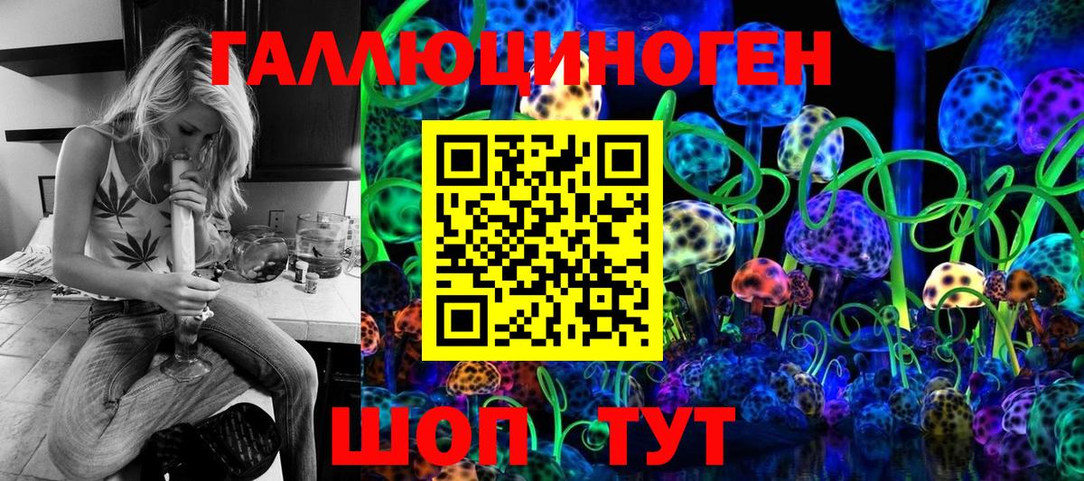 Тихвин  Галлюциногенные грибы мицелий  Вход с VPN  Псилоцибиновые грибы Cubensis 